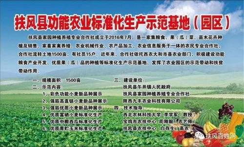 家禽销售 稳定收益与传统智慧的结合