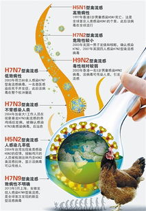 深圳排查4例不明原因肺炎对家禽市场销量的影响
